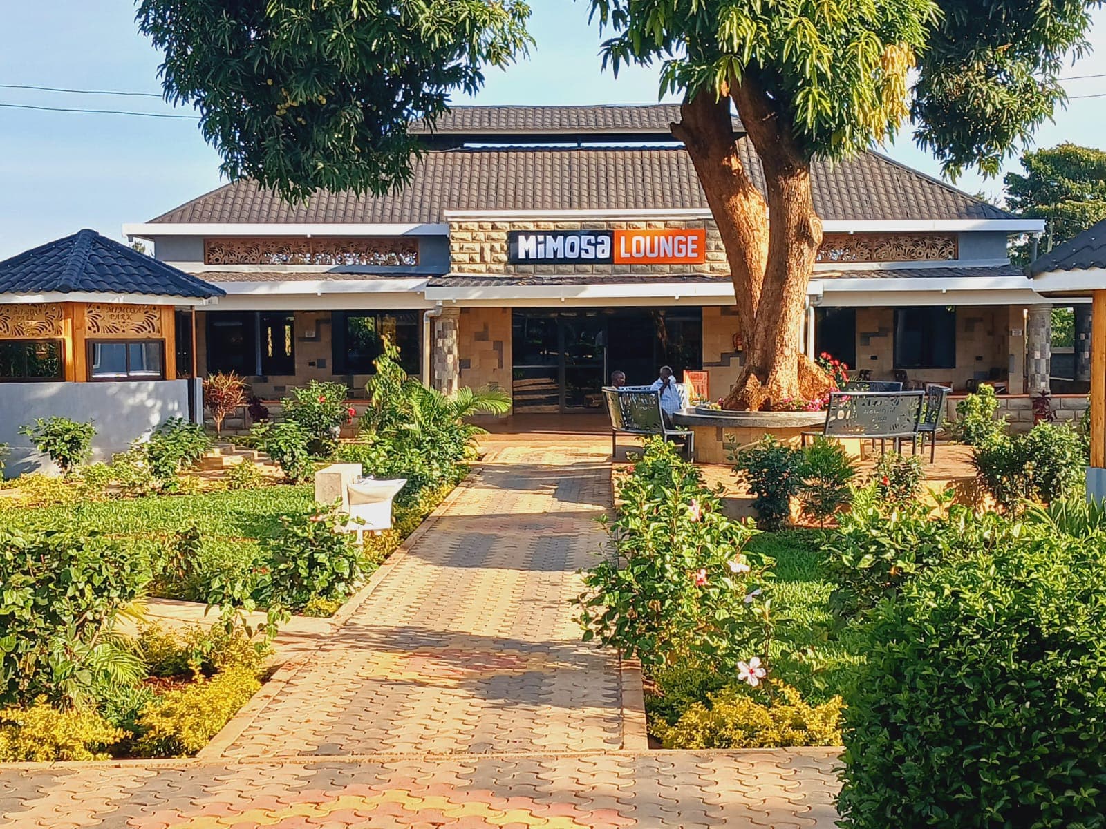 Mimosa Lounge View 1