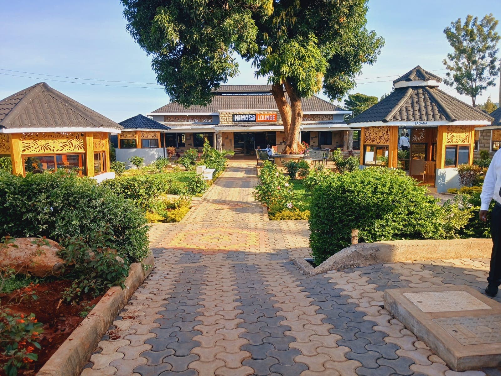 Mimosa Lounge View 2